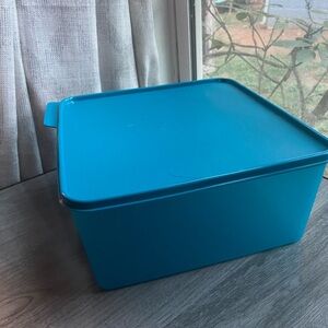 Tupperware Basic Fridge Tab Container.